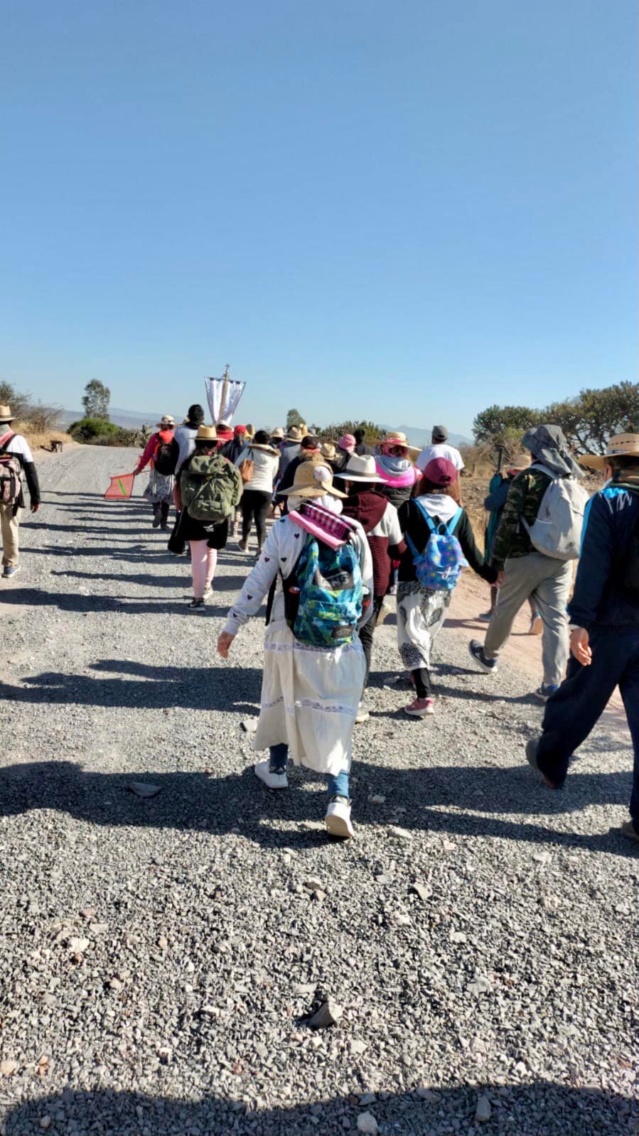 La peregrinacion mixta arribara este mediodia
