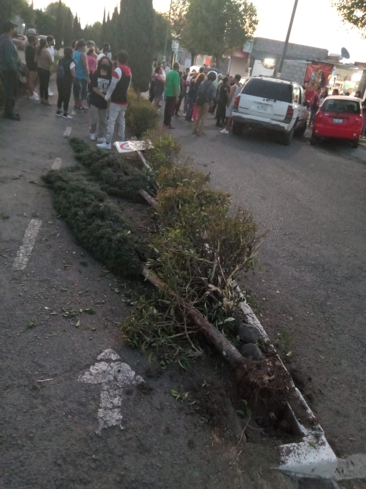 Se sale del camino y causa destrozos - Noticias de Querétaro