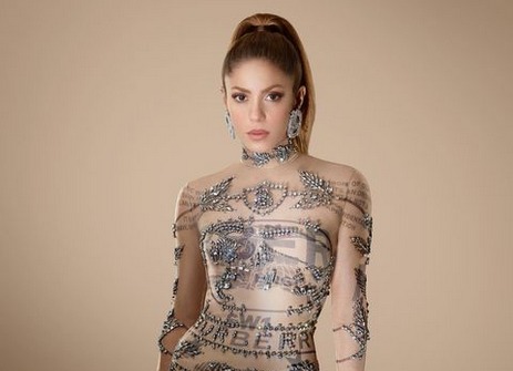 "Đó là một năm tôi sẽ không bao giờ quên": Shakira - Querétaro News