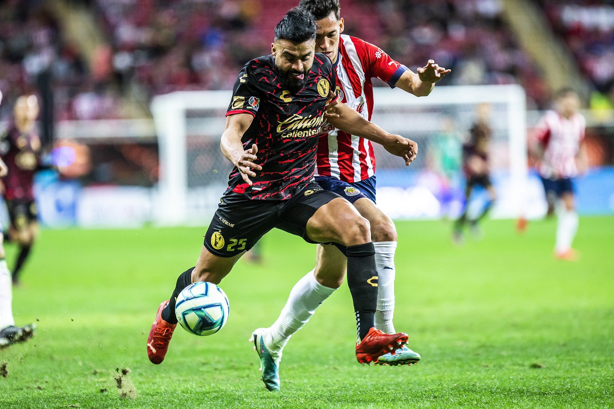 Gracias a dos penales, Chivas vence a Xolos - Noticias de Querétaro