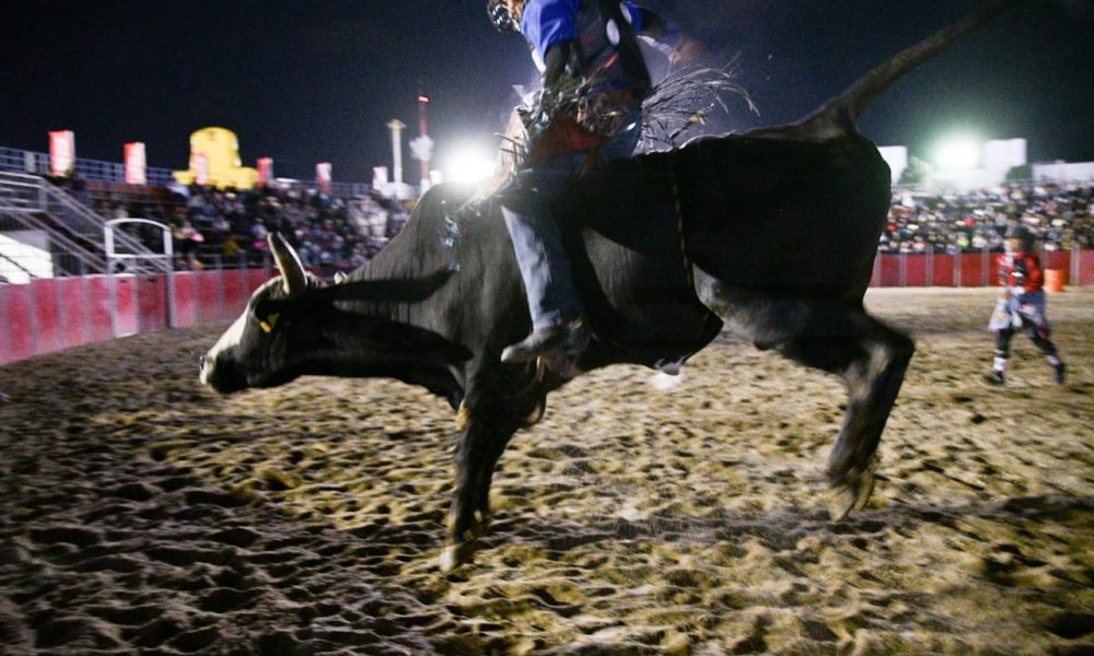 Colima Mexico Rodeo IMPRESIONANTE RODEO AMERICANO EN LA FERIA DE QUERETARO - Noticias de ...