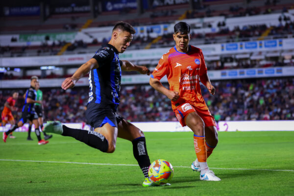 GALLOS AL ACECHO (4)