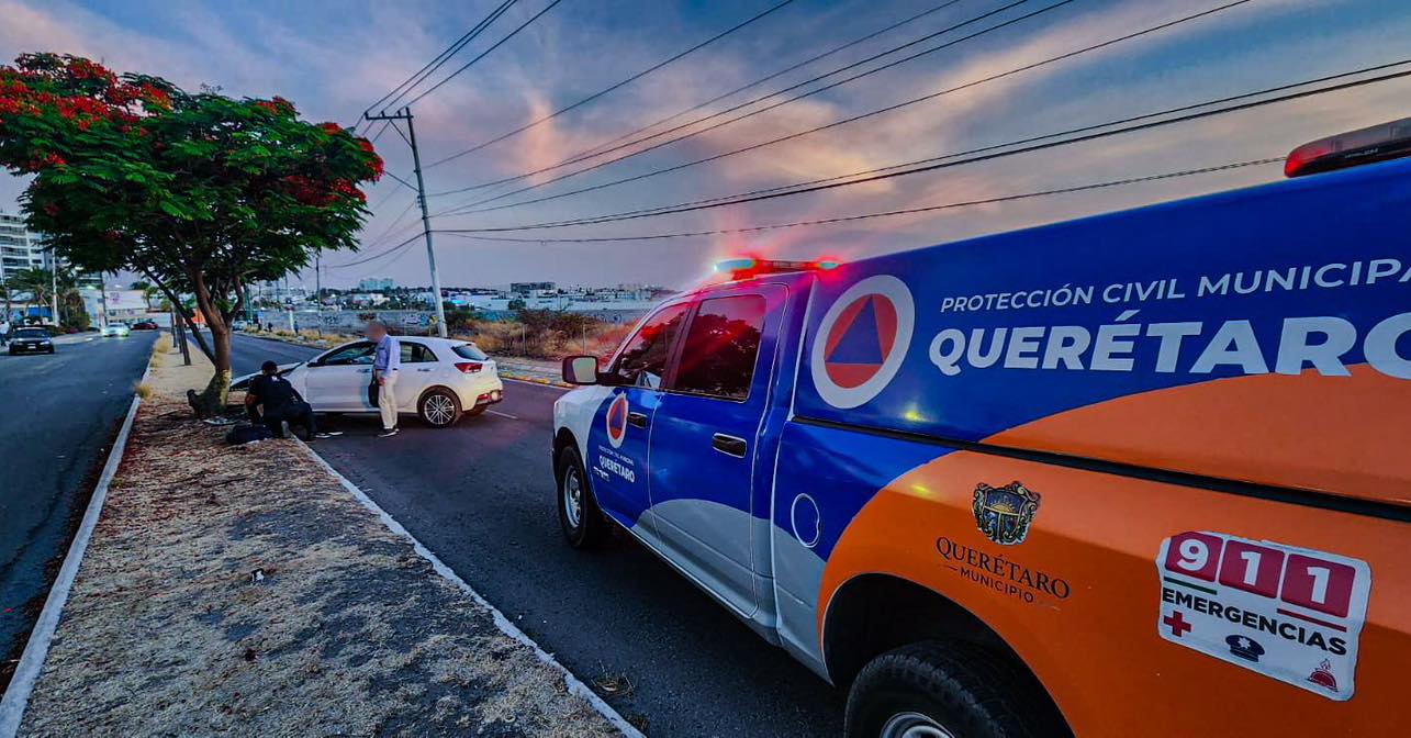 Automovilista choca contra árbol en Juriquilla (3)
