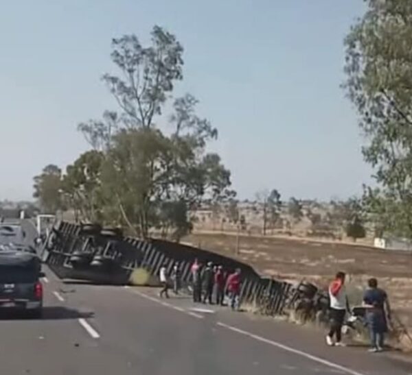 Operador de tracti pierde la vida tras colisionar contra un árbol (5)