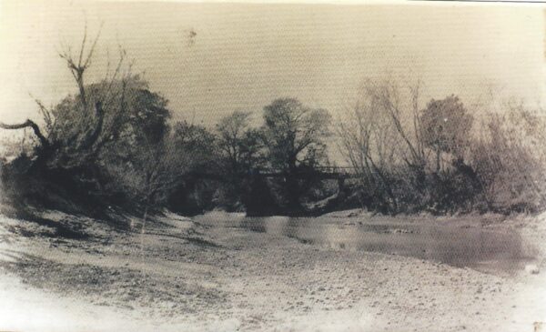 Las Nieves de Mi Tierra (3)