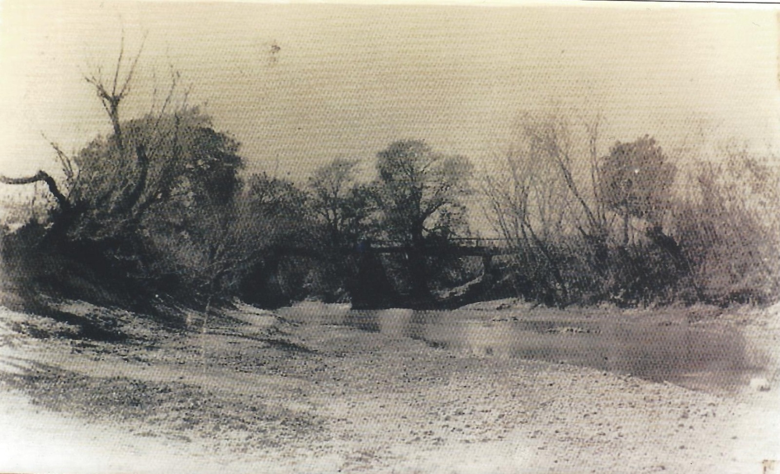 Las Nieves de Mi Tierra (3)