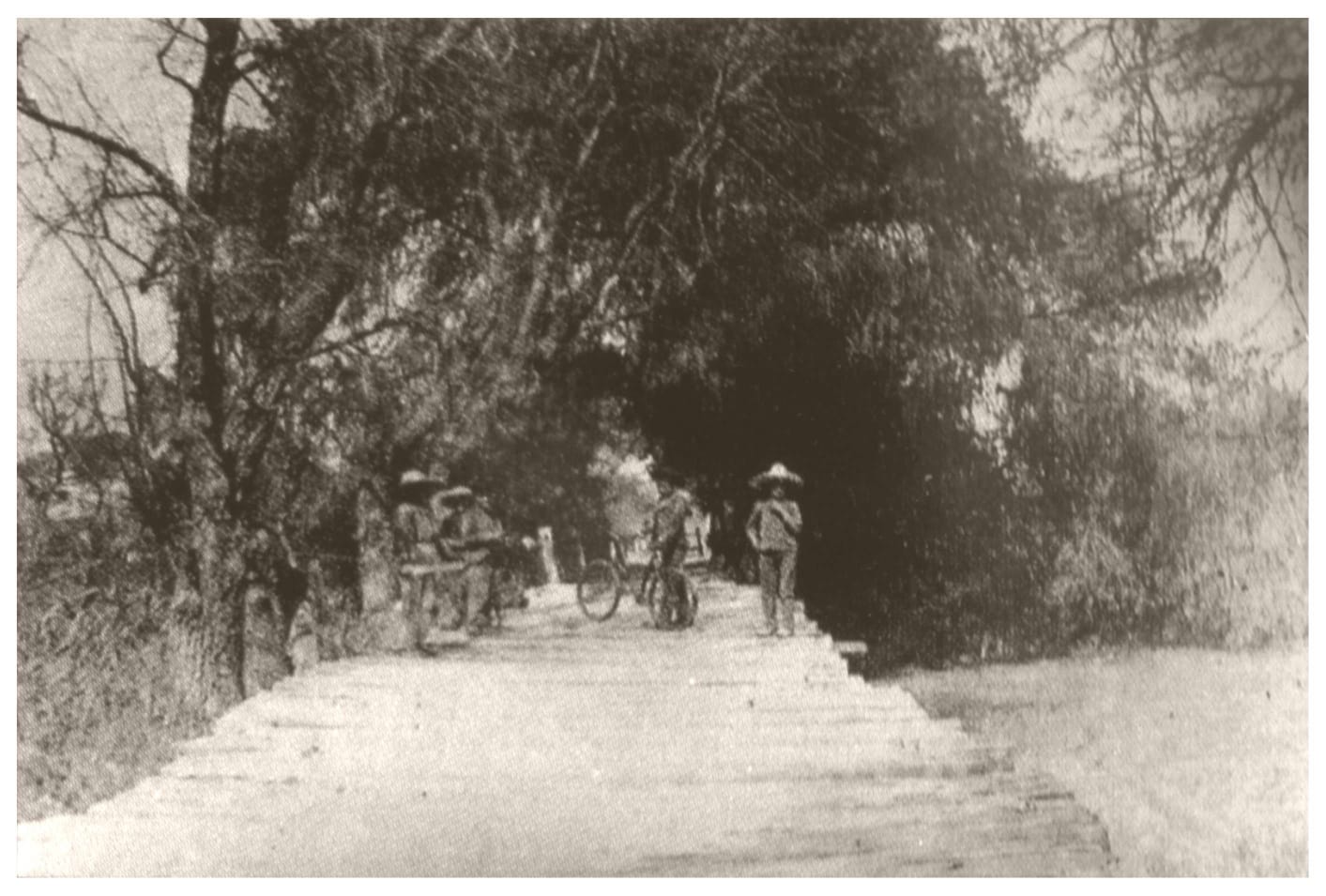 Las Nieves de Mi Tierra (4)