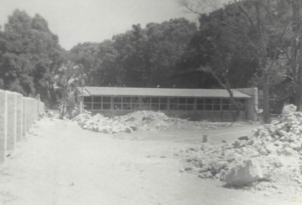 Las Nieves de Mi Tierra (7)