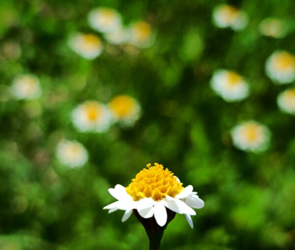 53283bf1-545c-4cec-aa0a-cd7802161df4