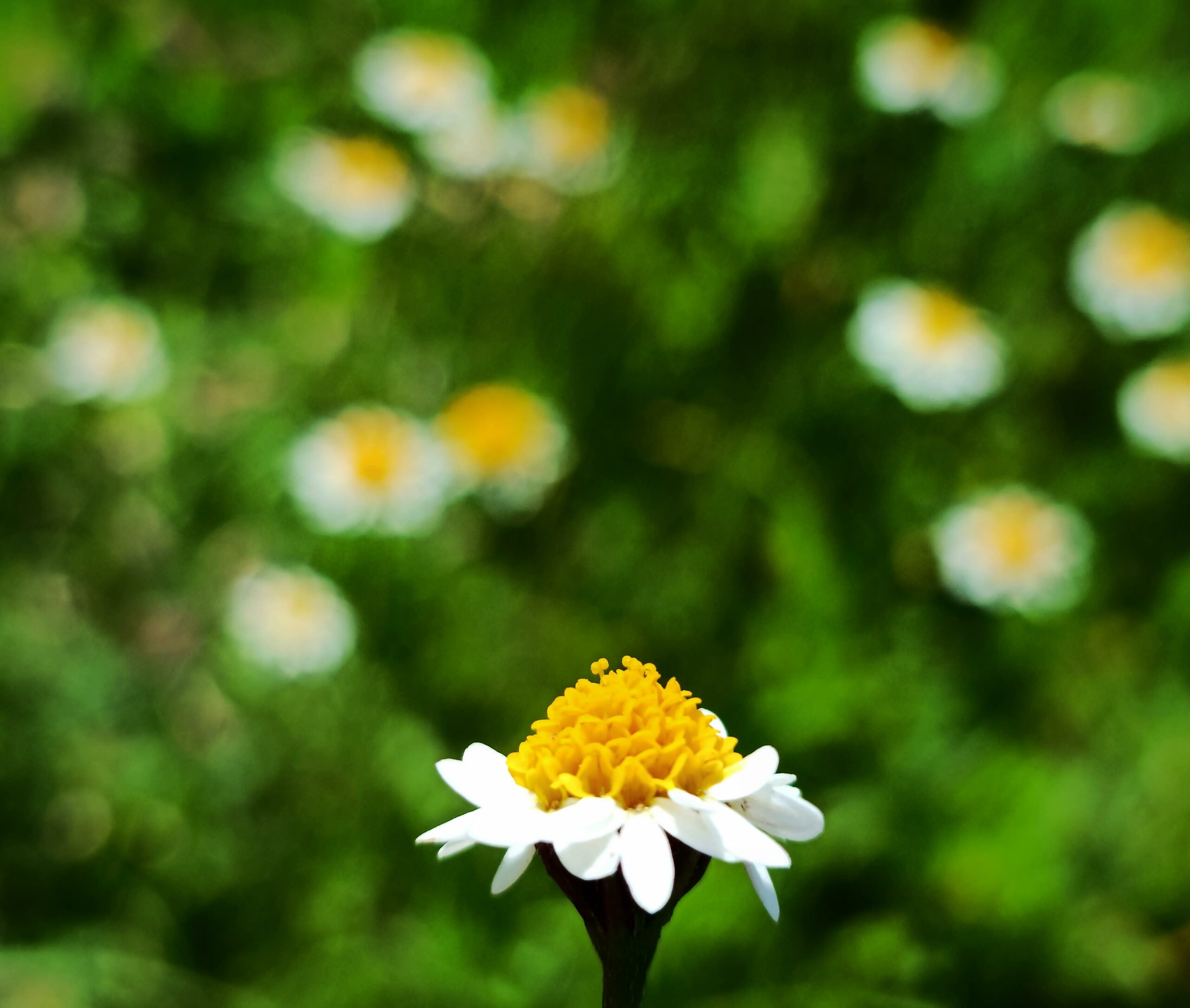 53283bf1-545c-4cec-aa0a-cd7802161df4