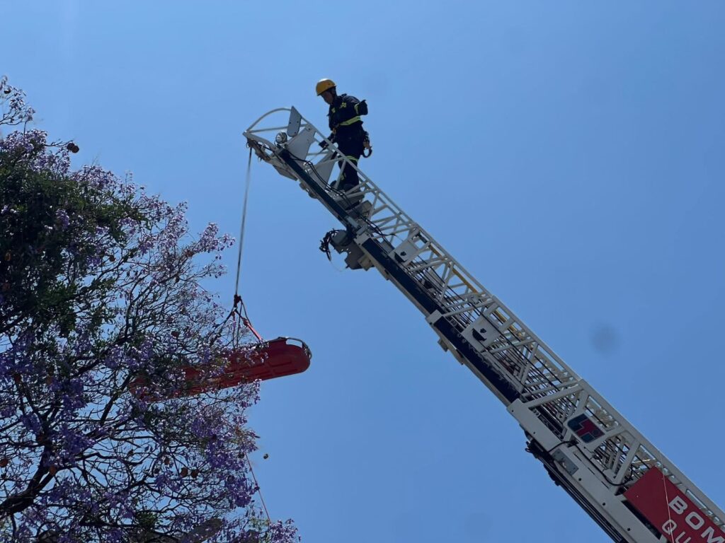 Albañil lesionado tras caída de tres metros en Loma Bonita - Noticias ...